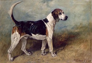 Holdkő, 1895